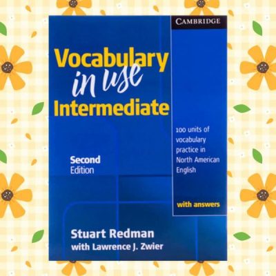 vocabulary in use intermediate